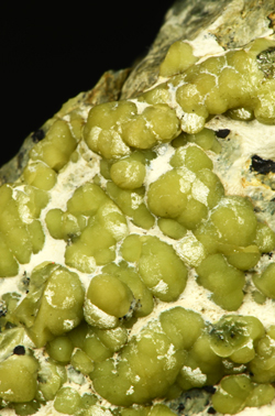 Andradite and Magnetite - Orsiera Rocciavr, Susa Valley, Torino, Piemonte, Italy